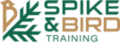 sabtraining.co.za